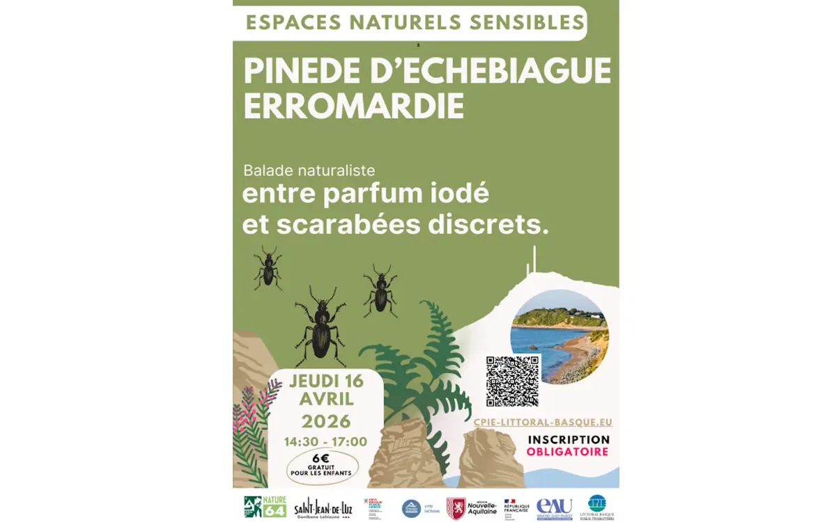 Espaces naturels sensibles de Saint-Jean-de-Luz: Pinède d'Etchebiague, entre parfum iodé et scarabées discrets.