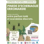 Espaces naturels sensibles de Saint-Jean-de-Luz: Pinède d'Etchebiague, entre parfum iodé et scarabées discrets.