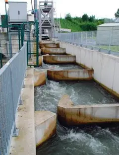 Ecluses du Rhin - Passe à poissons