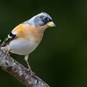 Esposition photo et peinture