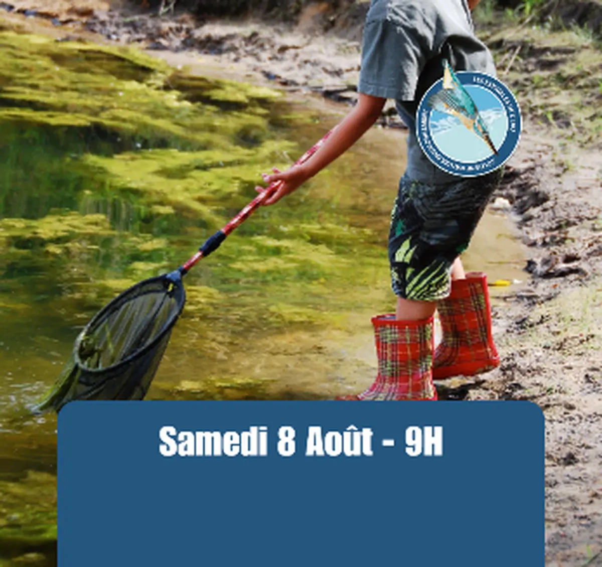 Estivales de l'eau - De l'eau'tre côté du miroir, les bêtes fantastiques