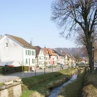 Et au milieu coule une rivière...à Hirtzbach dans le Sundgau DR