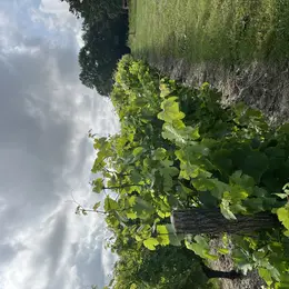 Et si on cuisinait au domaine de Villemont ?