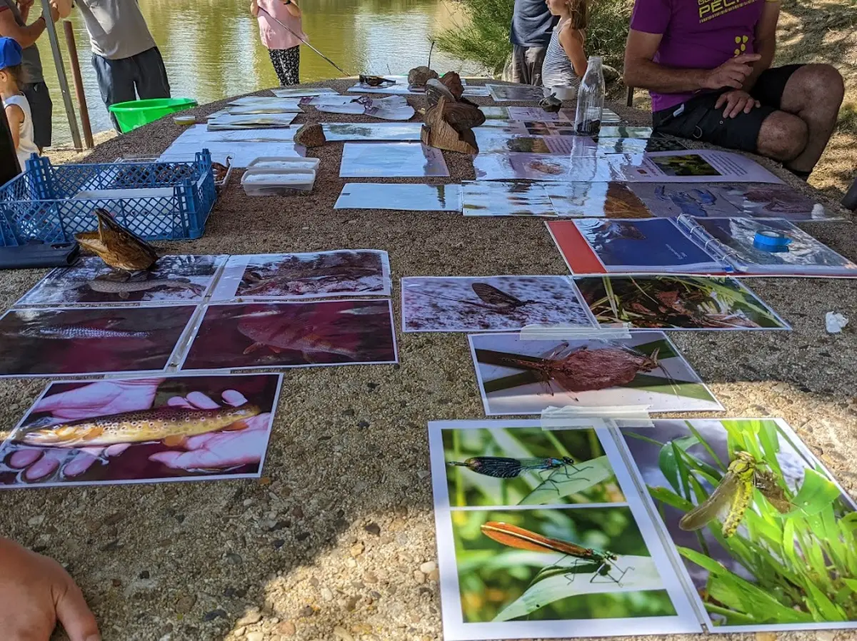 Etang de Chaux : Animations famille Atelier pêche