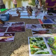 Etang de Chaux : Animations famille Atelier pêche