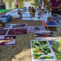 Etang de Chaux : Animations famille Atelier pêche