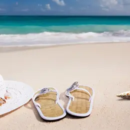 Etang de Chaux : Mini playa Tour