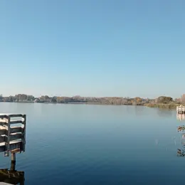 Etang des Aulnes