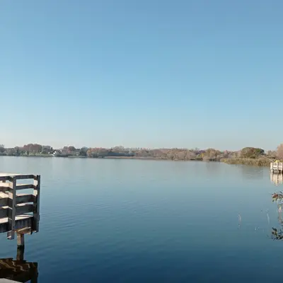 Etang des Aulnes