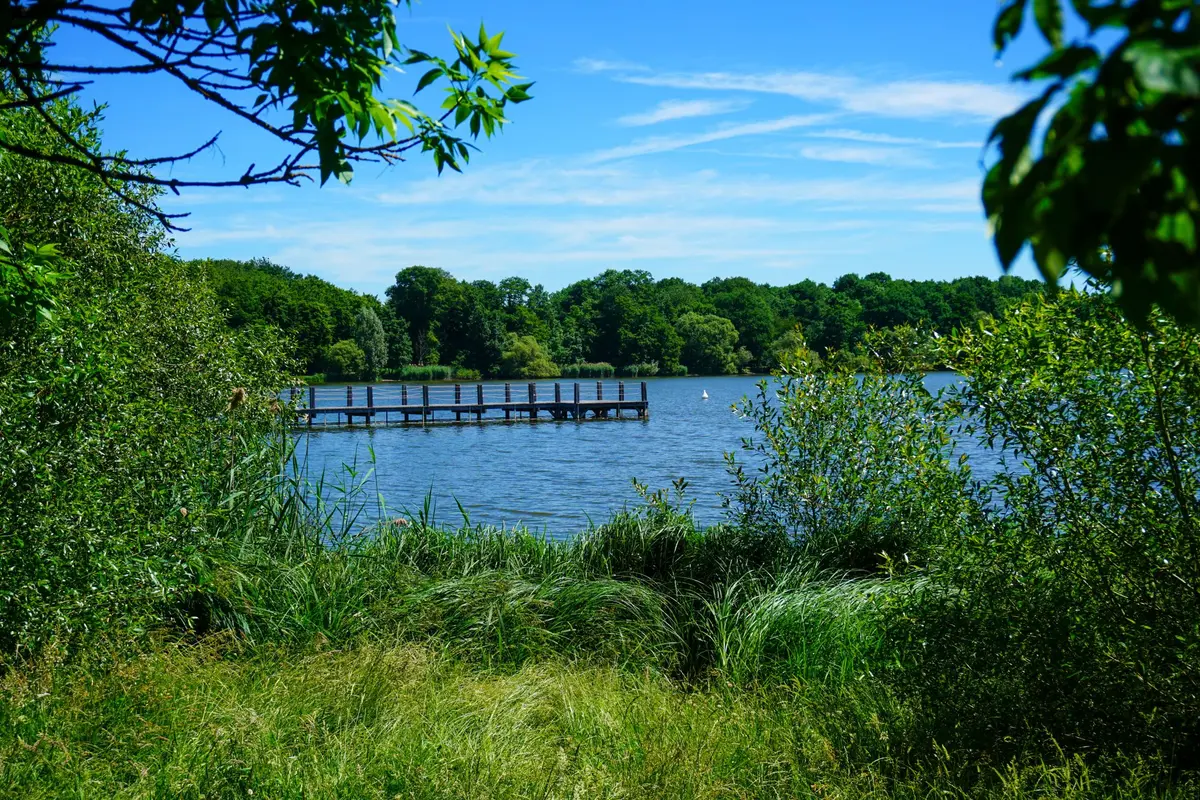 Etang des forges