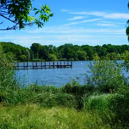Etang des forges