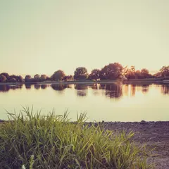 Etang du Louroux