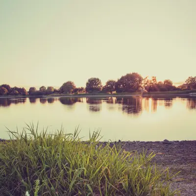 Etang du Louroux