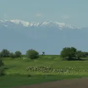 Étape de création Ludovic Hadjeras - Transhumance