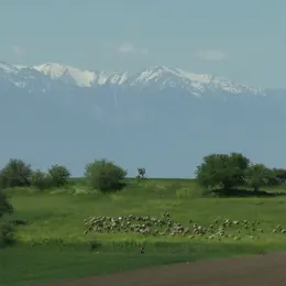 Étape de création Ludovic Hadjeras - Transhumance