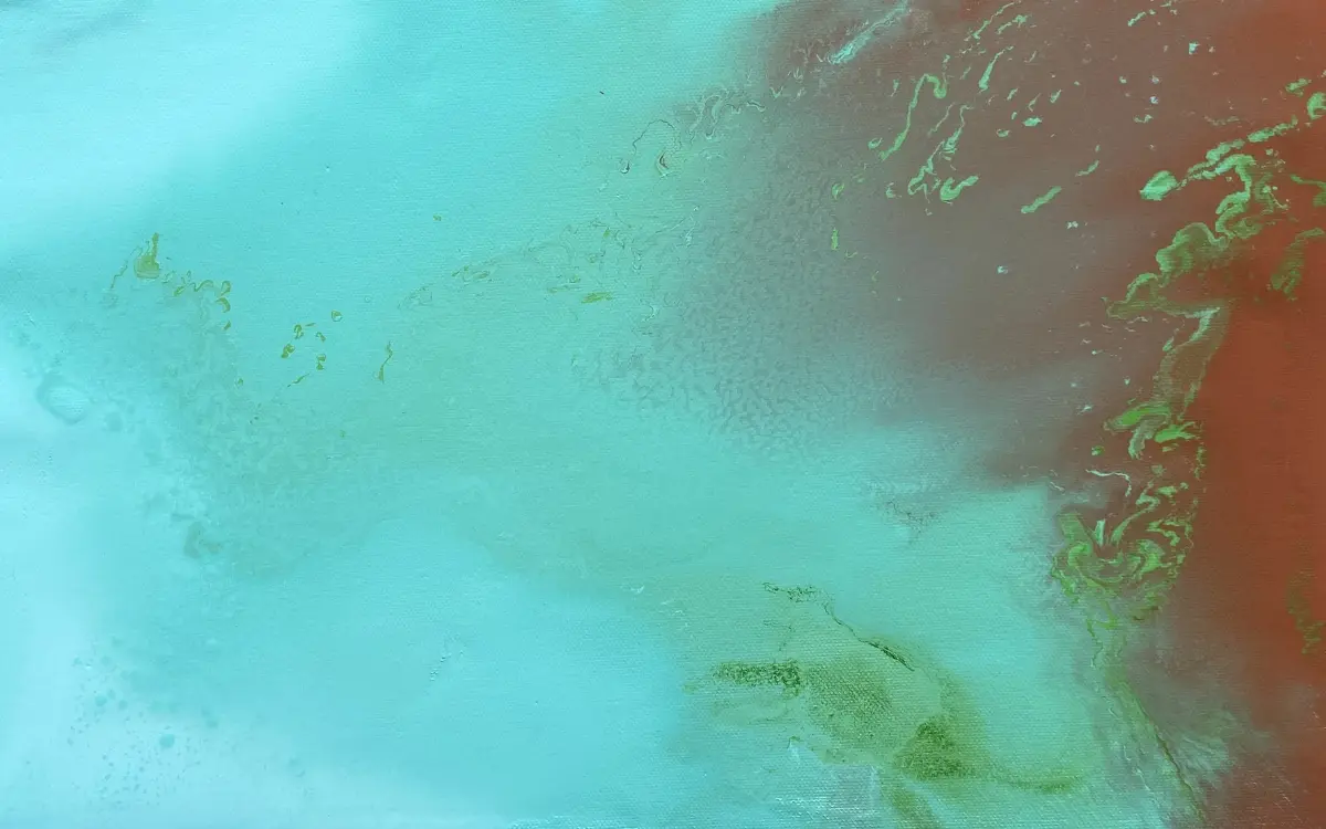 États Sensibles - Soirée performance artistique, piano live, exposition et dj set