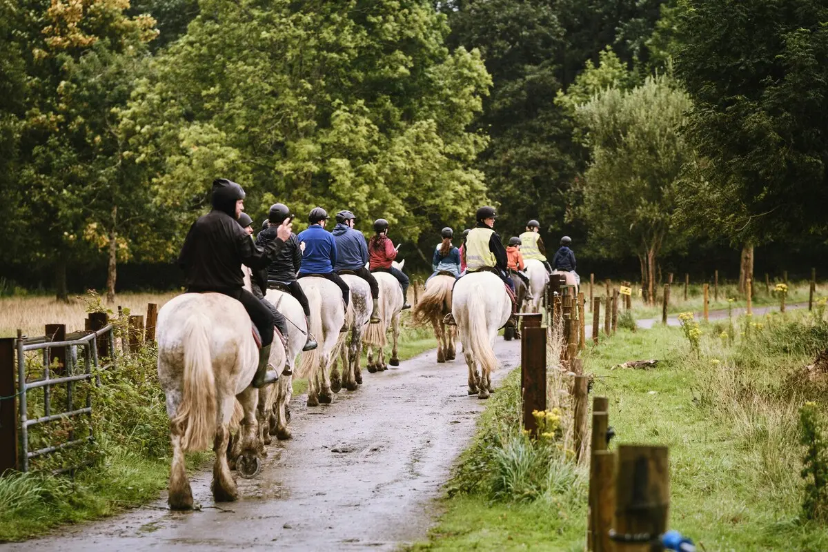 Eté actif 2026 : Equitation, balade en poney