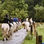 Eté actif 2026 : Equitation, balade en poney