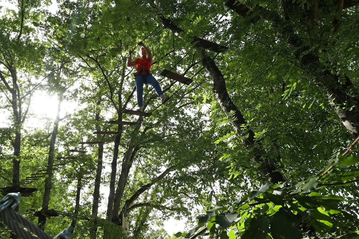 Eté actif 2026 : Grimpe d'arbre