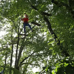 Eté actif 2026 : Grimpe d'arbre