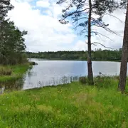 Été Actif - Animation nature au grand étang de la Jemaye -  Initiation au pistage
