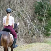 Été actif | Animation poney