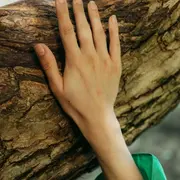 Été actif - Animation xylothèque sensorielle