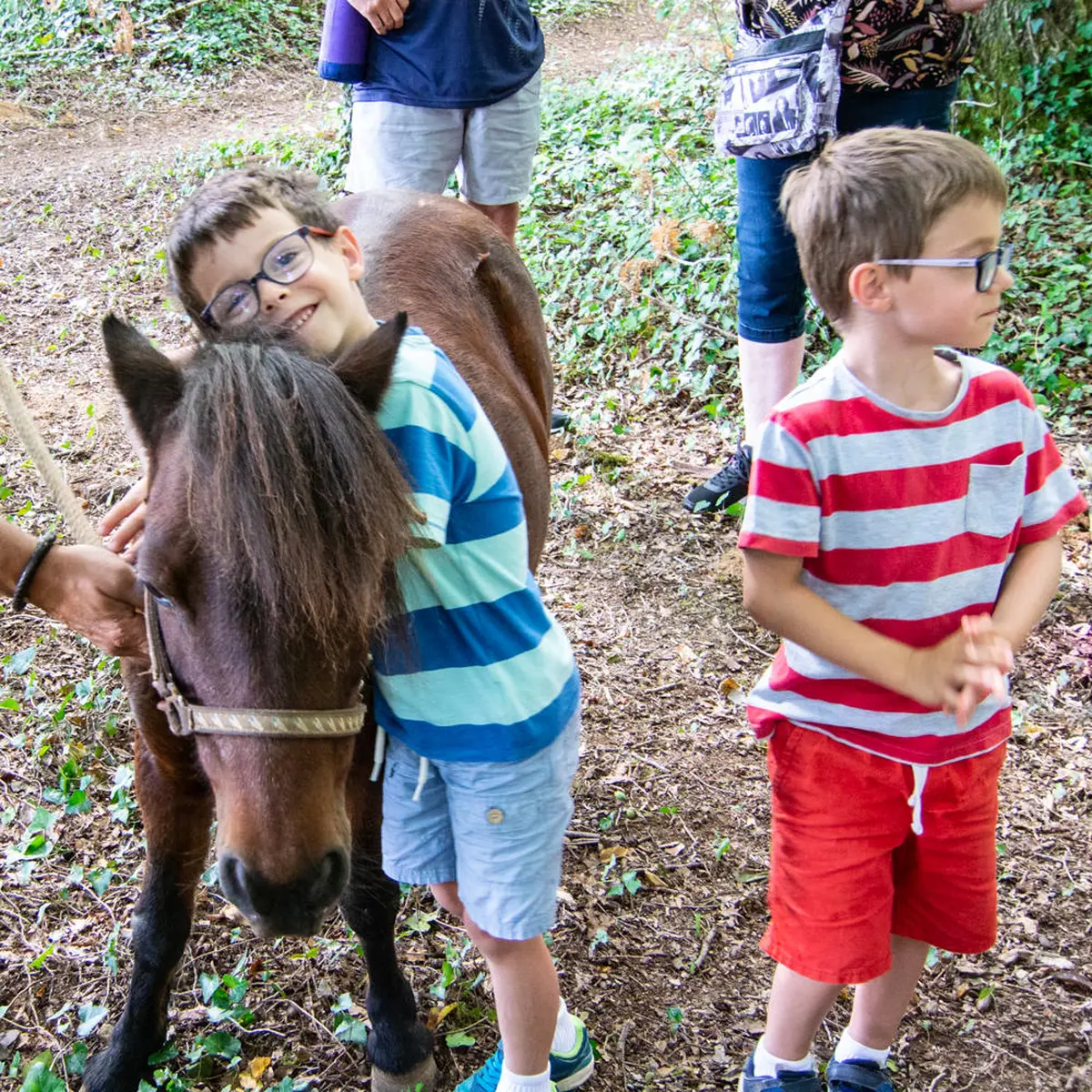 Eté actif - balade à poney
