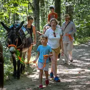 Été actif - balade avec un âne