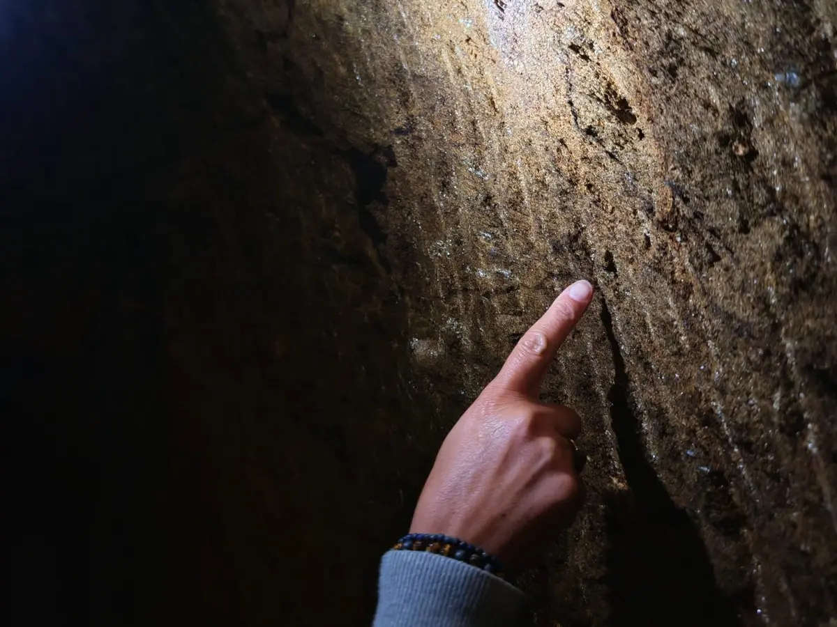 Eté actif - Balade en calèche