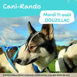 Été actif : Cani-rando