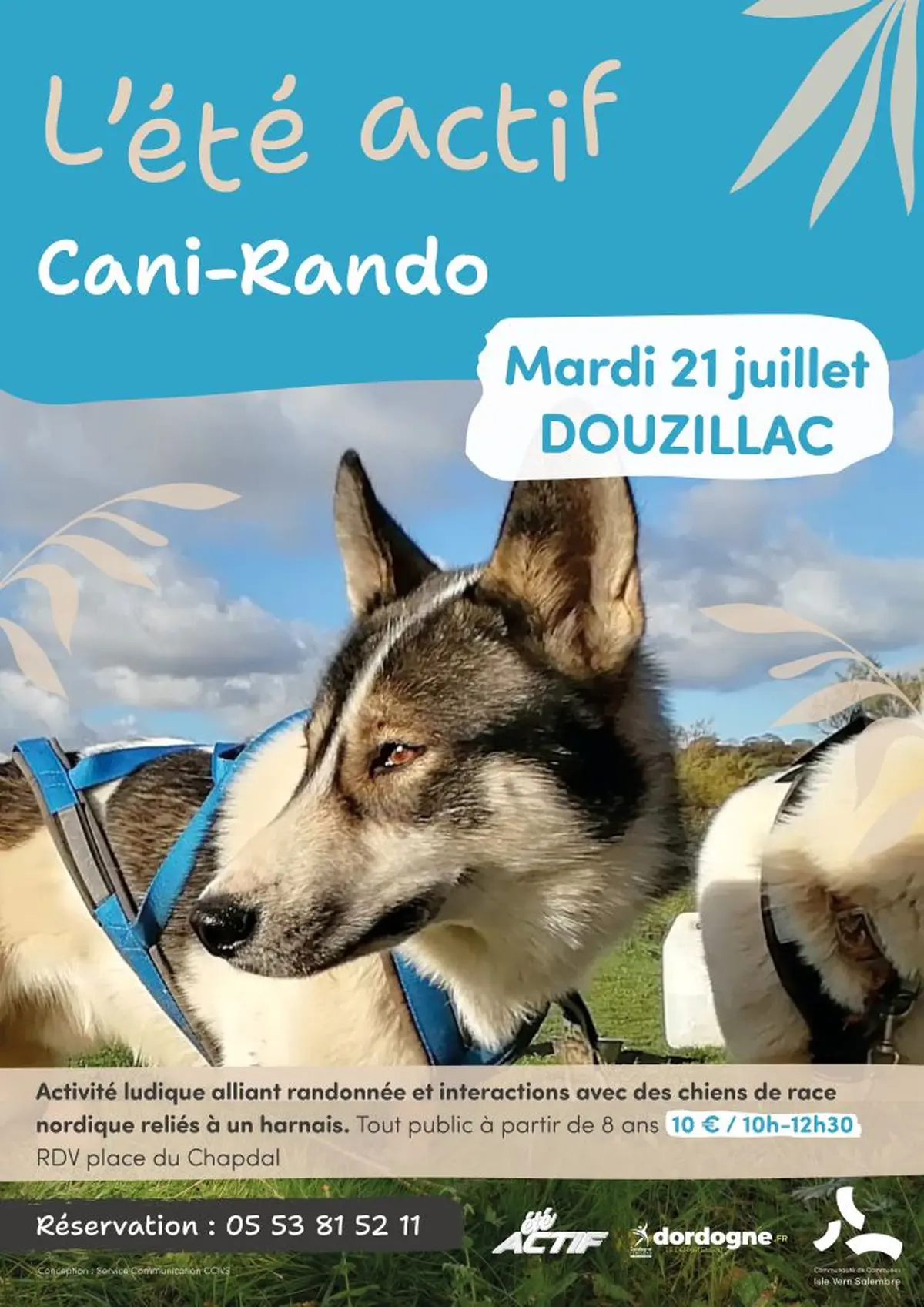 Été actif : Cani-rando