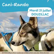 Été actif : Cani-rando