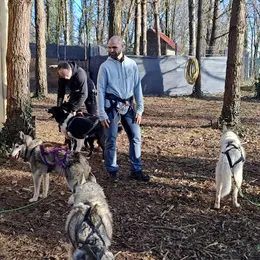 Été Actif : cani-rando
