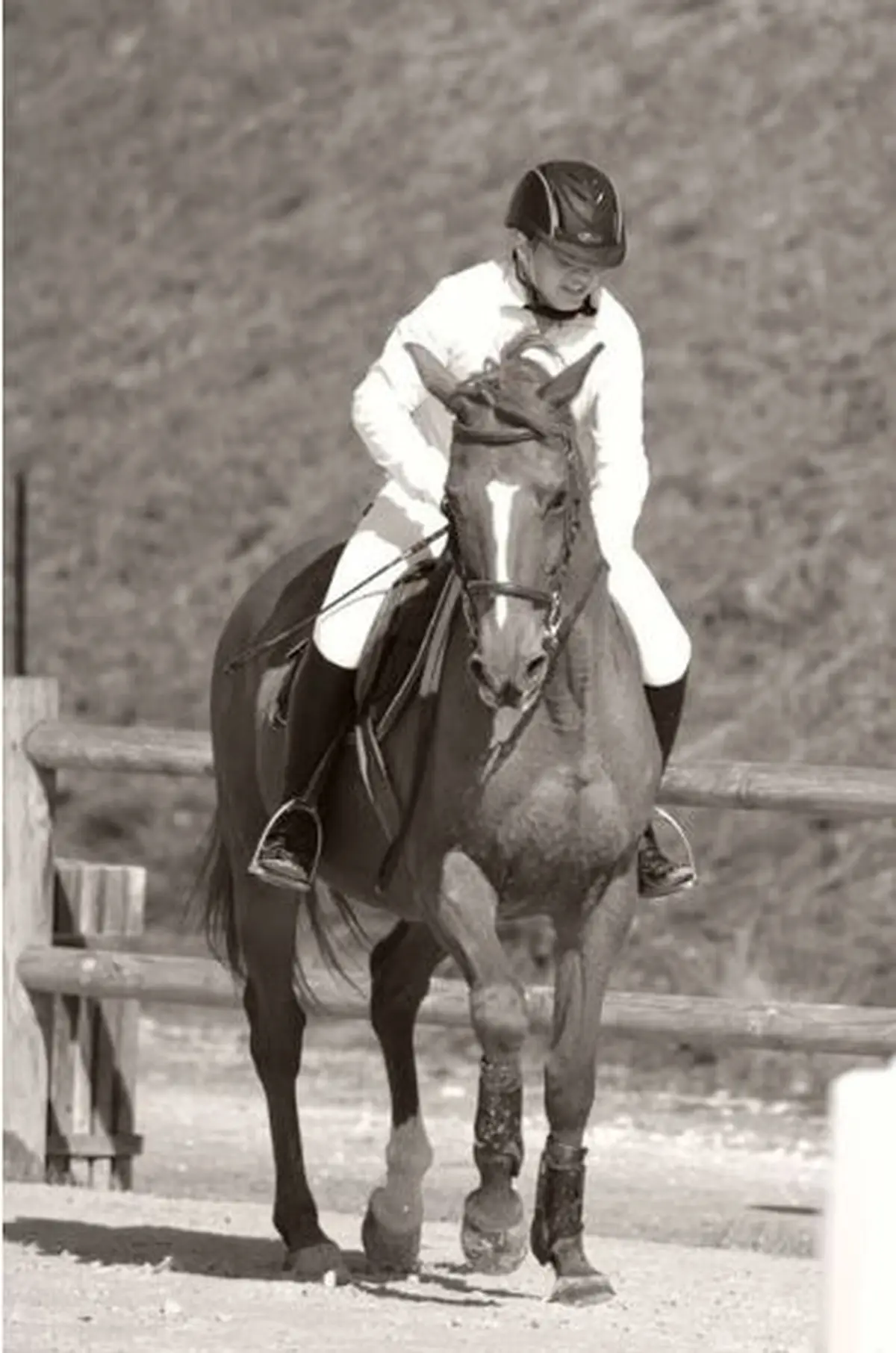 Eté Actif : Equitation