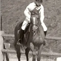 Eté Actif : Equitation