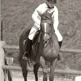 Eté Actif : Equitation
