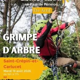 ÉTÉ ACTIF : Grimpe d'arbre à Saint-Crepin-Carlucet