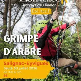 ÉTÉ ACTIF : Grimpe d'arbre à Salignac
