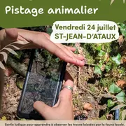 Eté actif : Pistage animalier