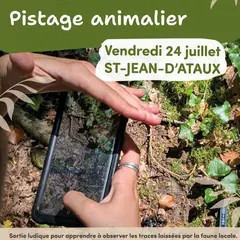 Eté actif : Pistage animalier