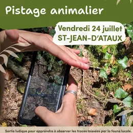 Eté actif : Pistage animalier