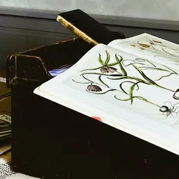 Été Artistique -  Atelier Bas relief Botanique en plâtre avec Marie Laure