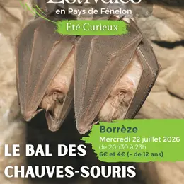 ETE CURIEUX : Bal des Chauves-souris à Borrèze