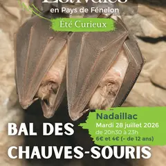ETE CURIEUX : Bal des Chauves-souris à Nadaillac