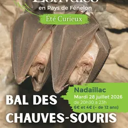 ETE CURIEUX : Bal des Chauves-souris à Nadaillac