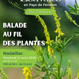 ETE CURIEUX : Balade au fil des plantes à Nadaillac