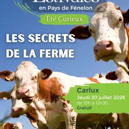 ETE CURIEUX : Les secrets de la ferme à Carlux