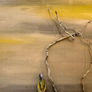 Etre dans l'état des choses : exposition d'Emmanuelle Guttieres Requenne