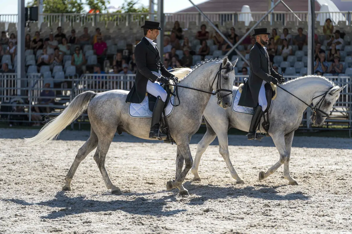 Euro Cheval à Offenburg !